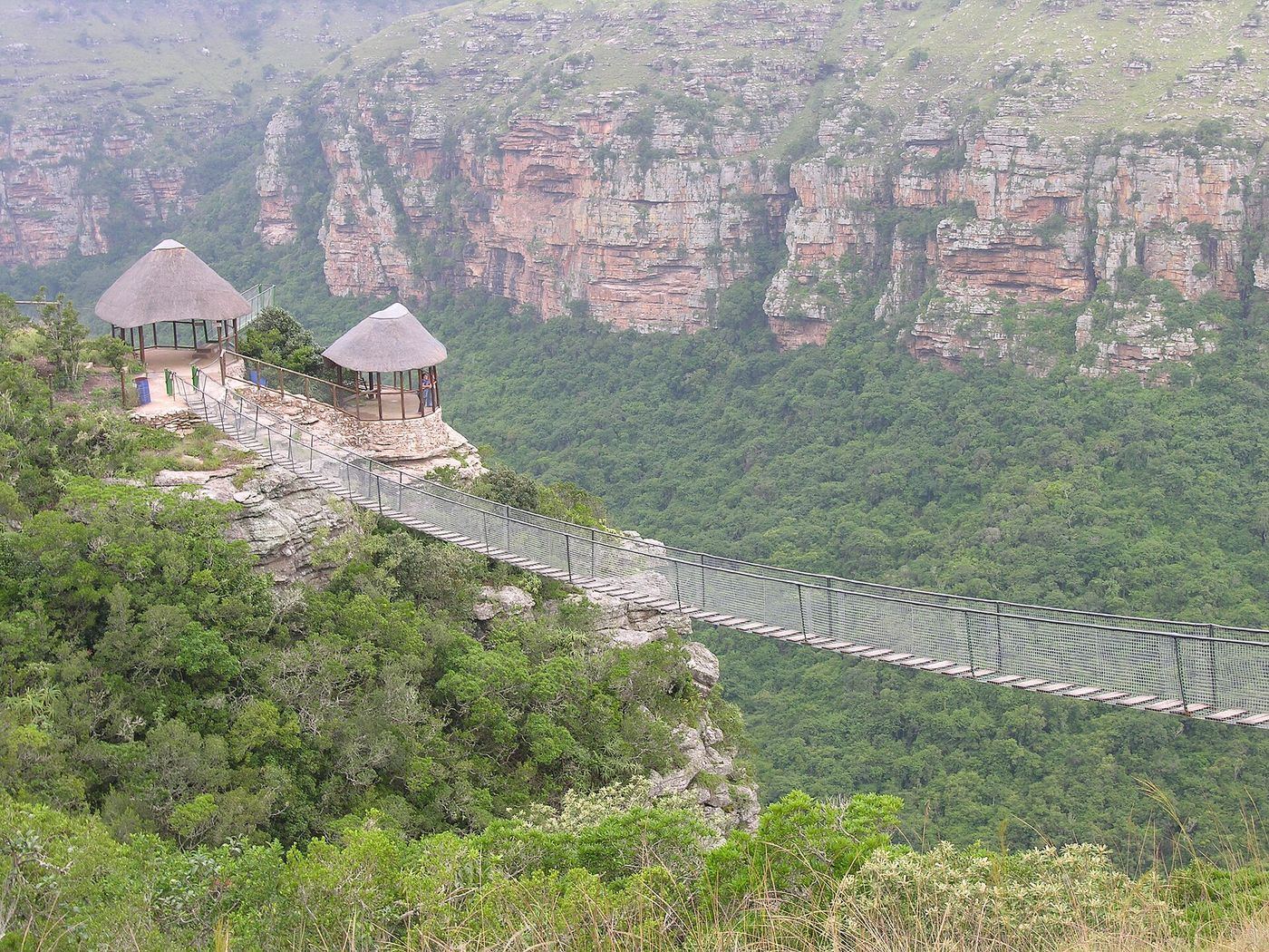 Oribi Gorge Wild Swing Guide