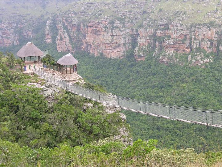 Oribi Gorge Wild Swing Guide