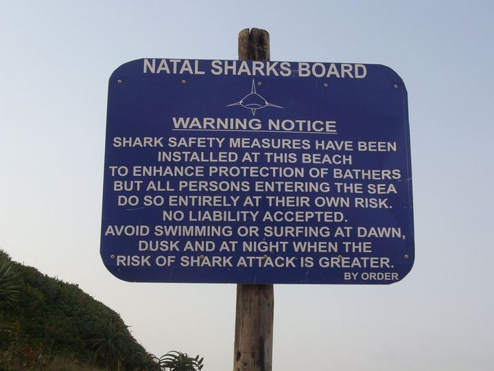 How KZN Shark Nets Work