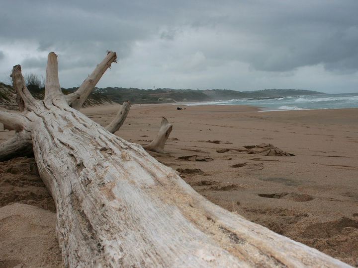 Ocean and Outdoors