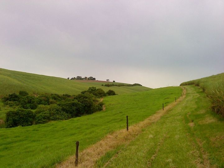 News24.com | Govt's plan to expropriate more land revealed